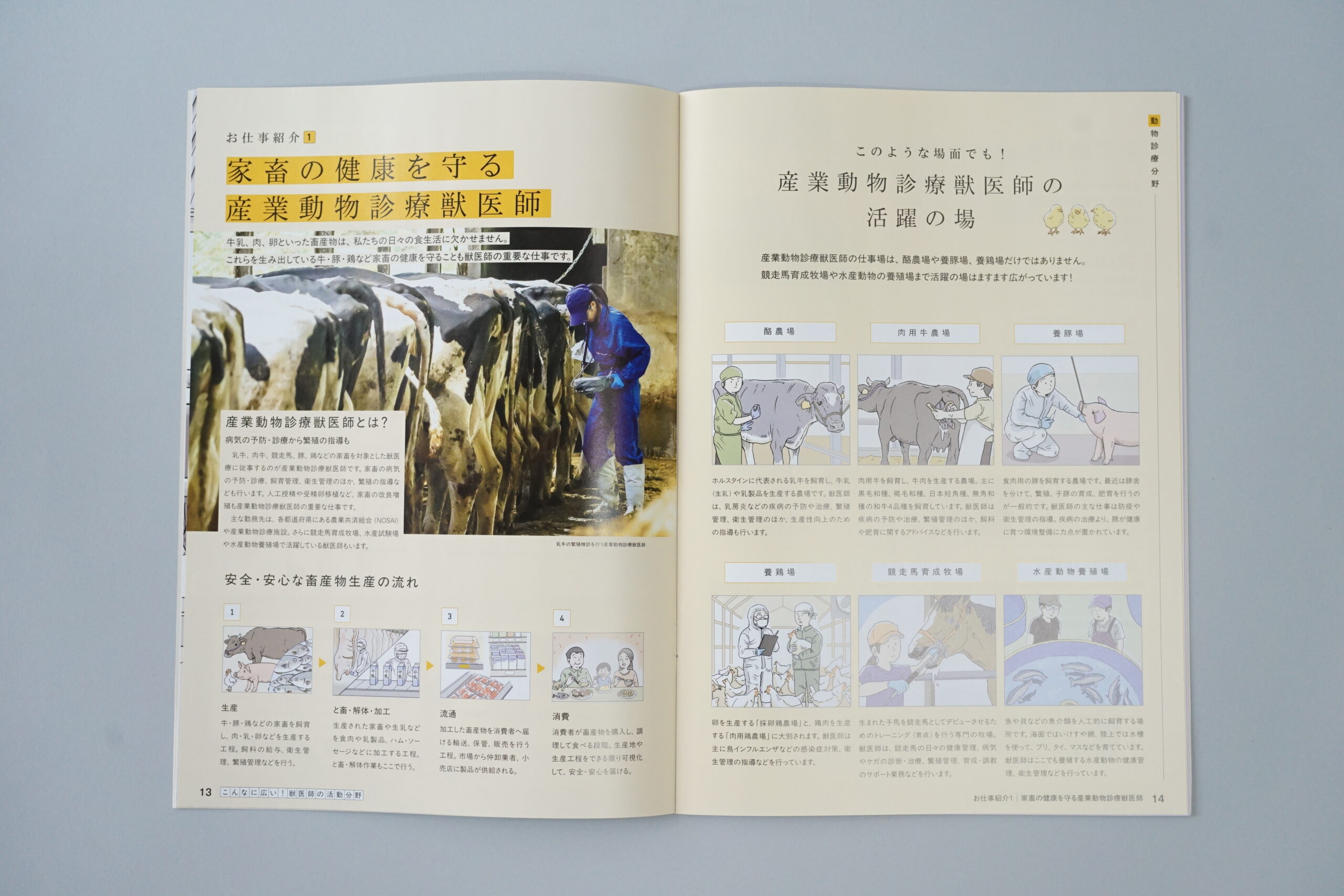 日本の畜産を支える獣医さんになろう パンフレット